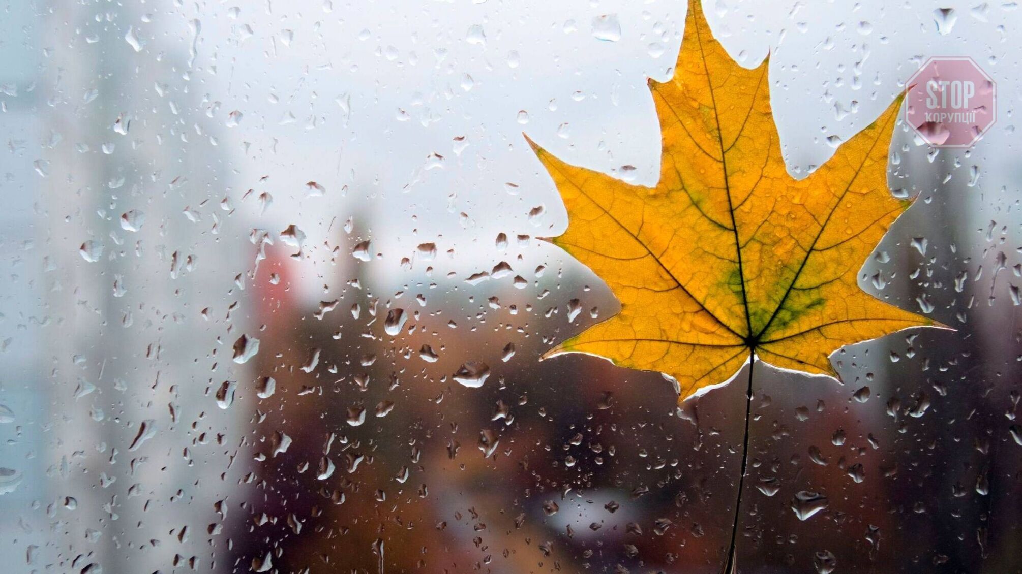 І дощ, і сонце: погода на вихідні 20–21 листопада