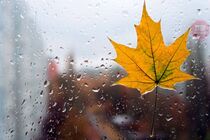 І дощ, і сонце: погода на вихідні 20–21 листопада