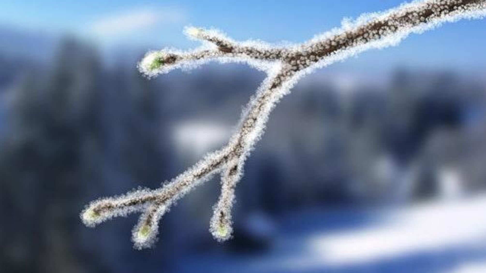 В Україну йдуть нічні морози до - 9°