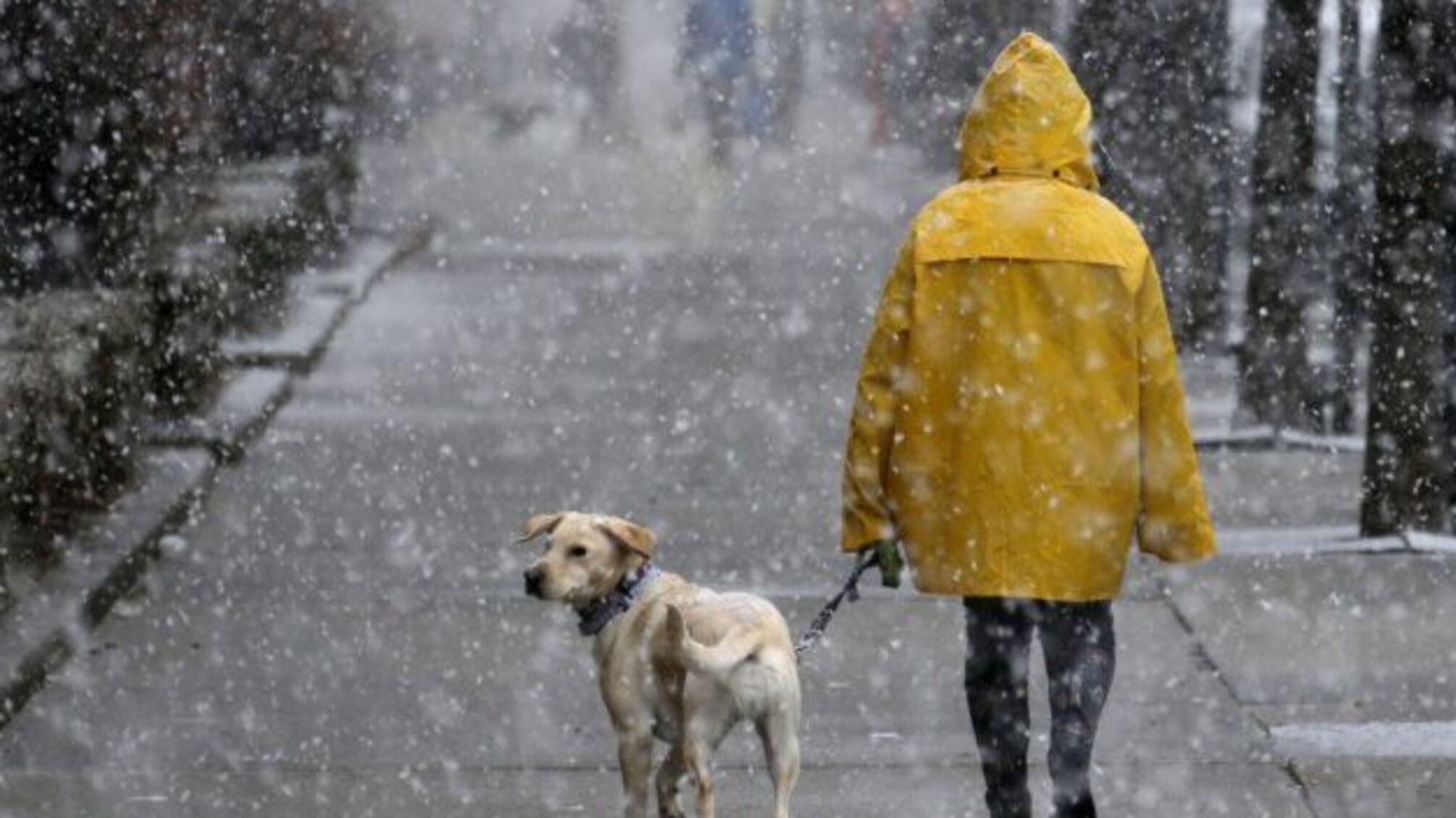 Україні обіцяють ще кілька днів сухої погоди, потім – дощі та мокрий сніг