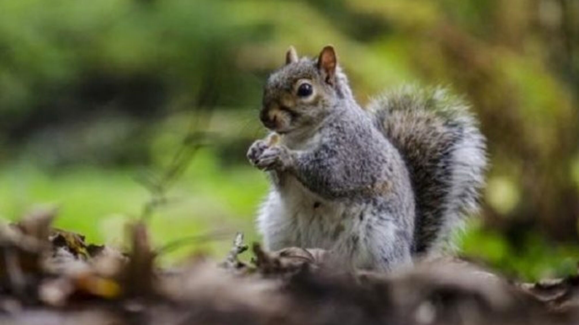 10 листопада: народний календар і астровісник