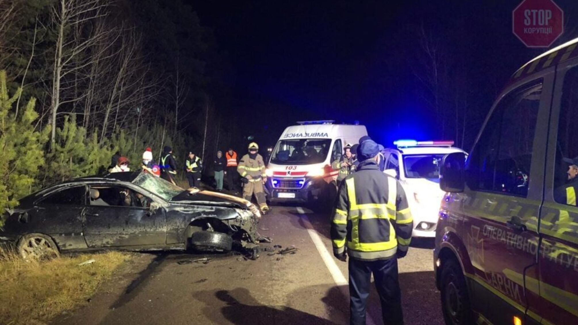 Лось стал причиной ДТП в Ровенской области