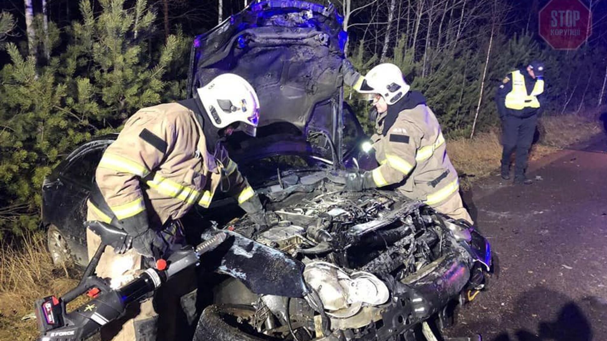 На Рівненщині через лося сталася ДТП (фото)