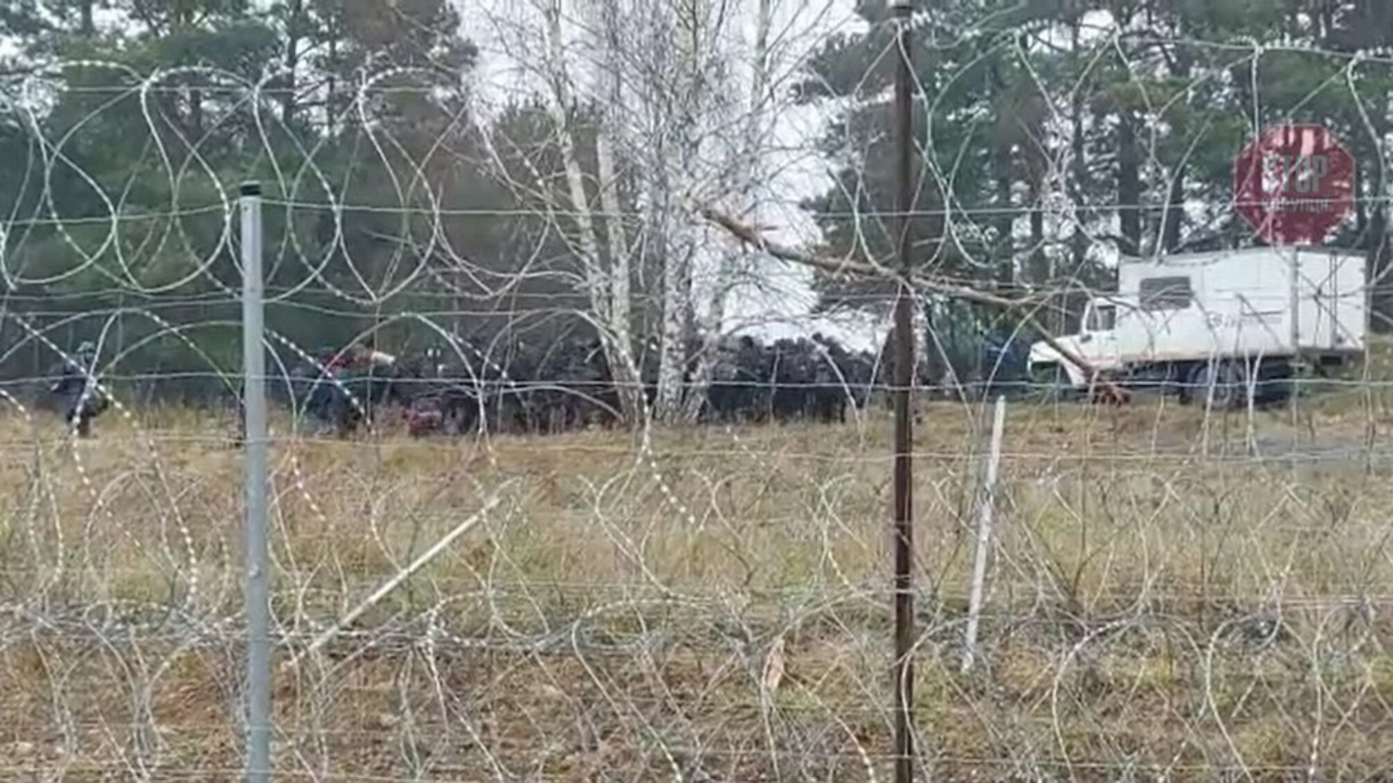 Мигранты покидают лагерь на польско-белорусской границе (видео)