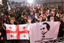 Сторонники Саакашвили в Грузии объявили голодовку