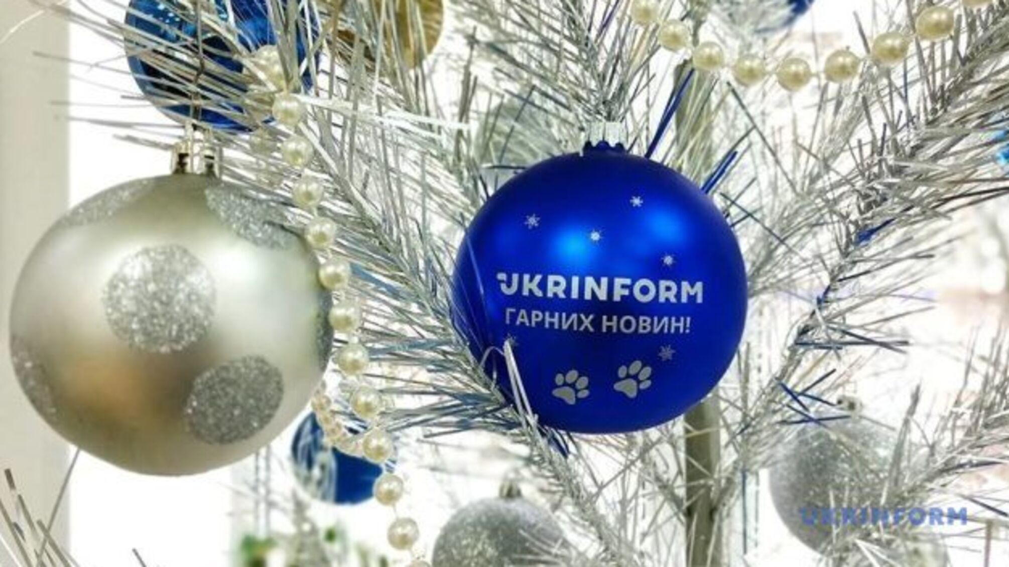 Міс Ялинка-2021: обираємо найкращу зелену красуню країни