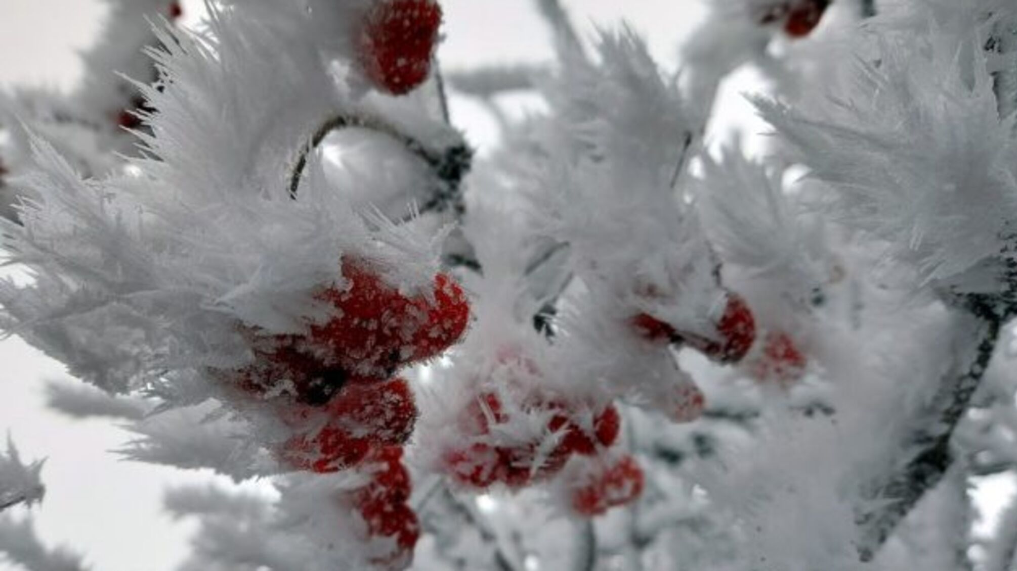 Україні прогнозують морози до -19°