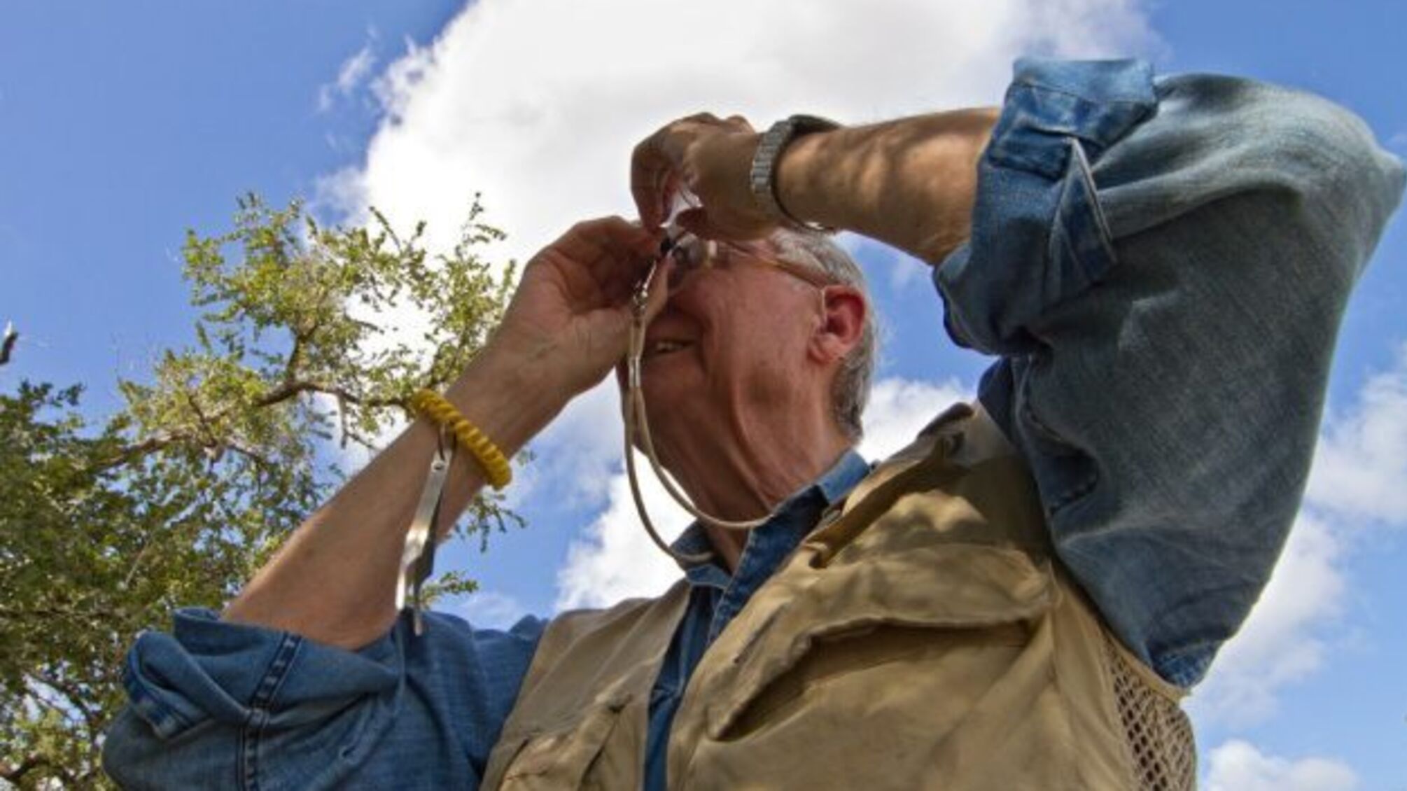 У США помер Едвард Осборн Вілсон – його називали «Дарвін сьогодення»