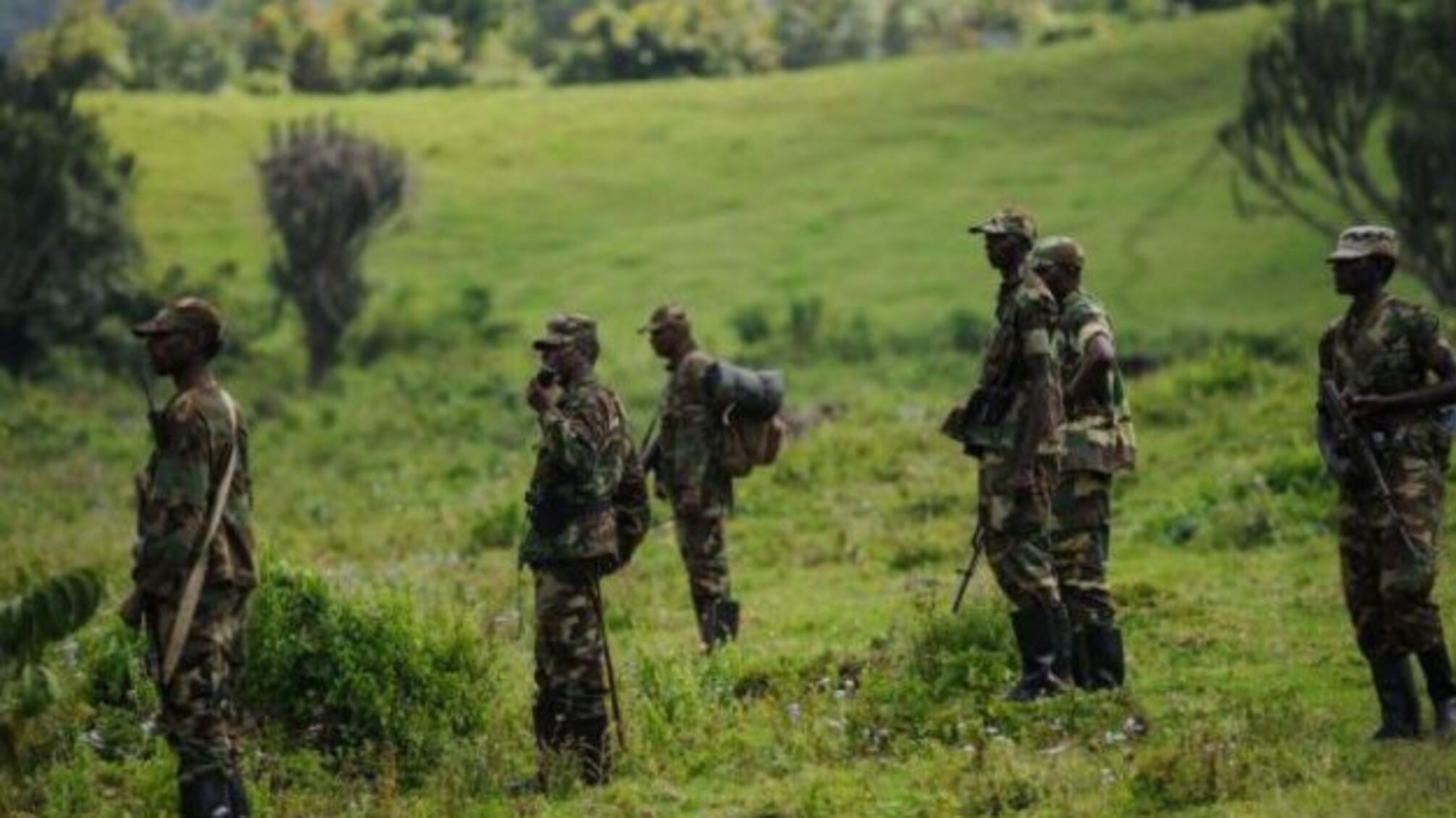 У ДР Конго відбулися сутички армії та бойовиків, десятки загиблих