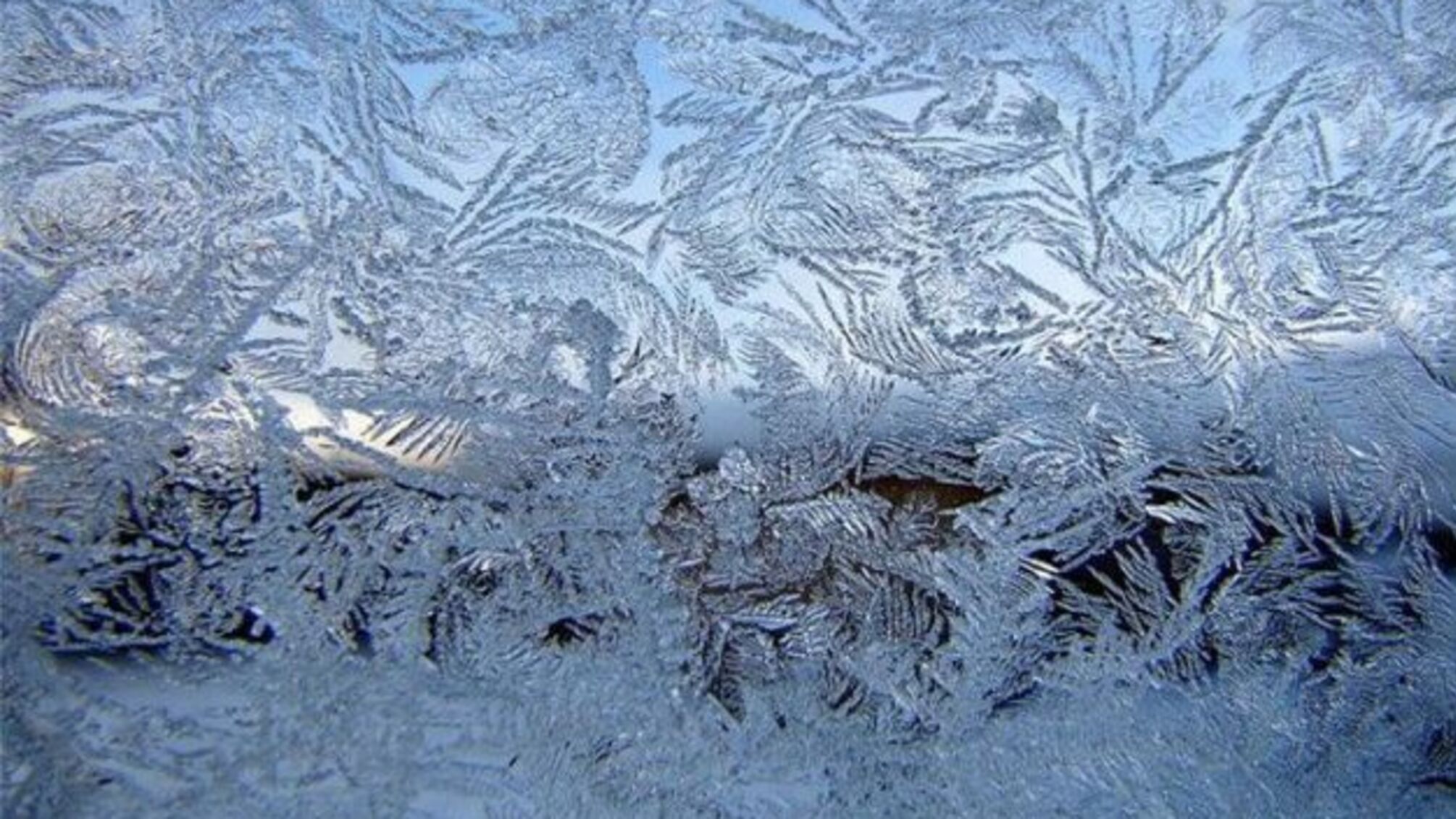 29 грудня: народний календар і астровісник