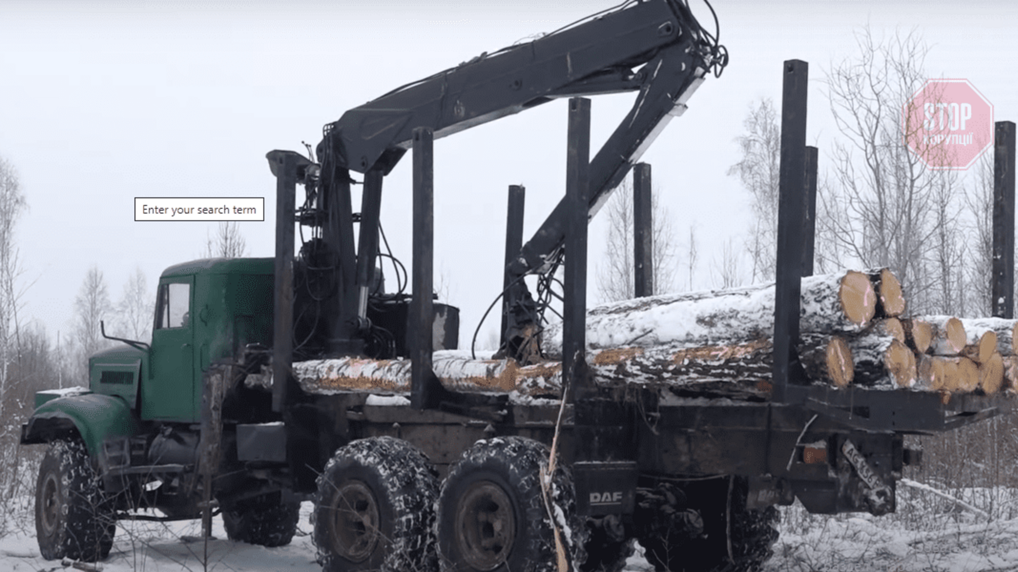 Схеми знищення Полісся: як вирубують ліси на Житомирщині