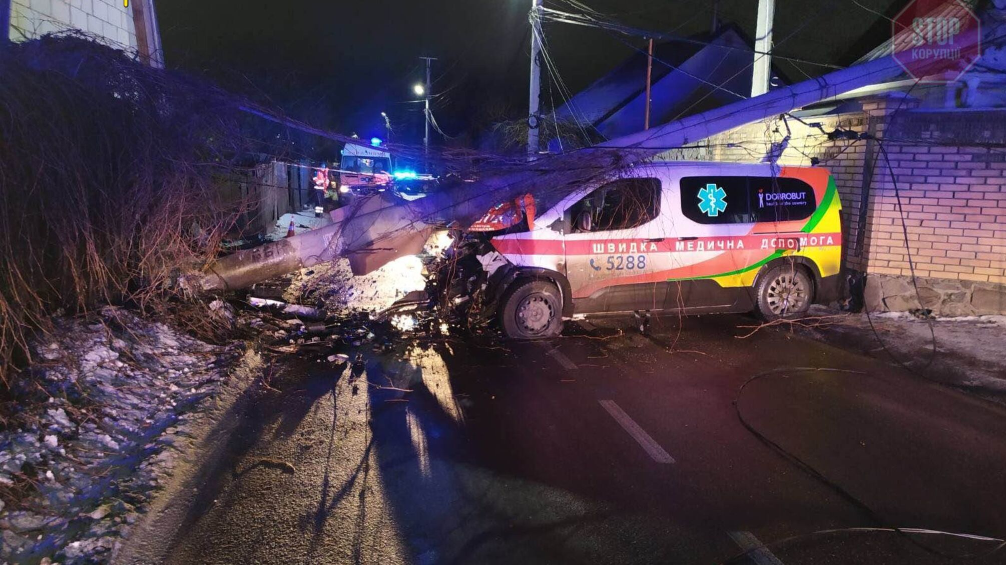 В Киевской области 'скорая помощь' врезалась в столб, есть пострадавшие (фото)