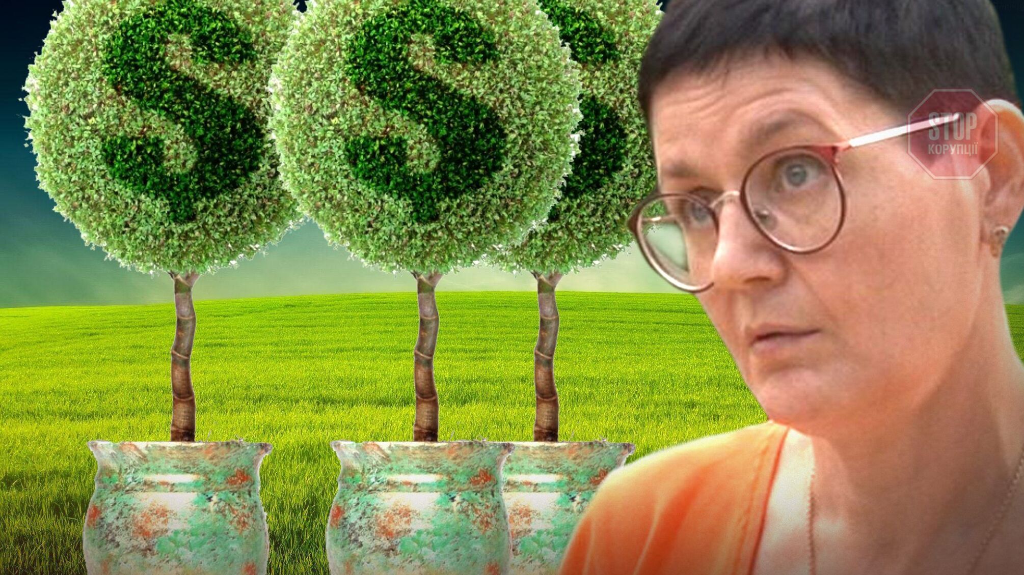 Безработная экоактивистка Никульникова потратила миллион гривен за год, - журналист