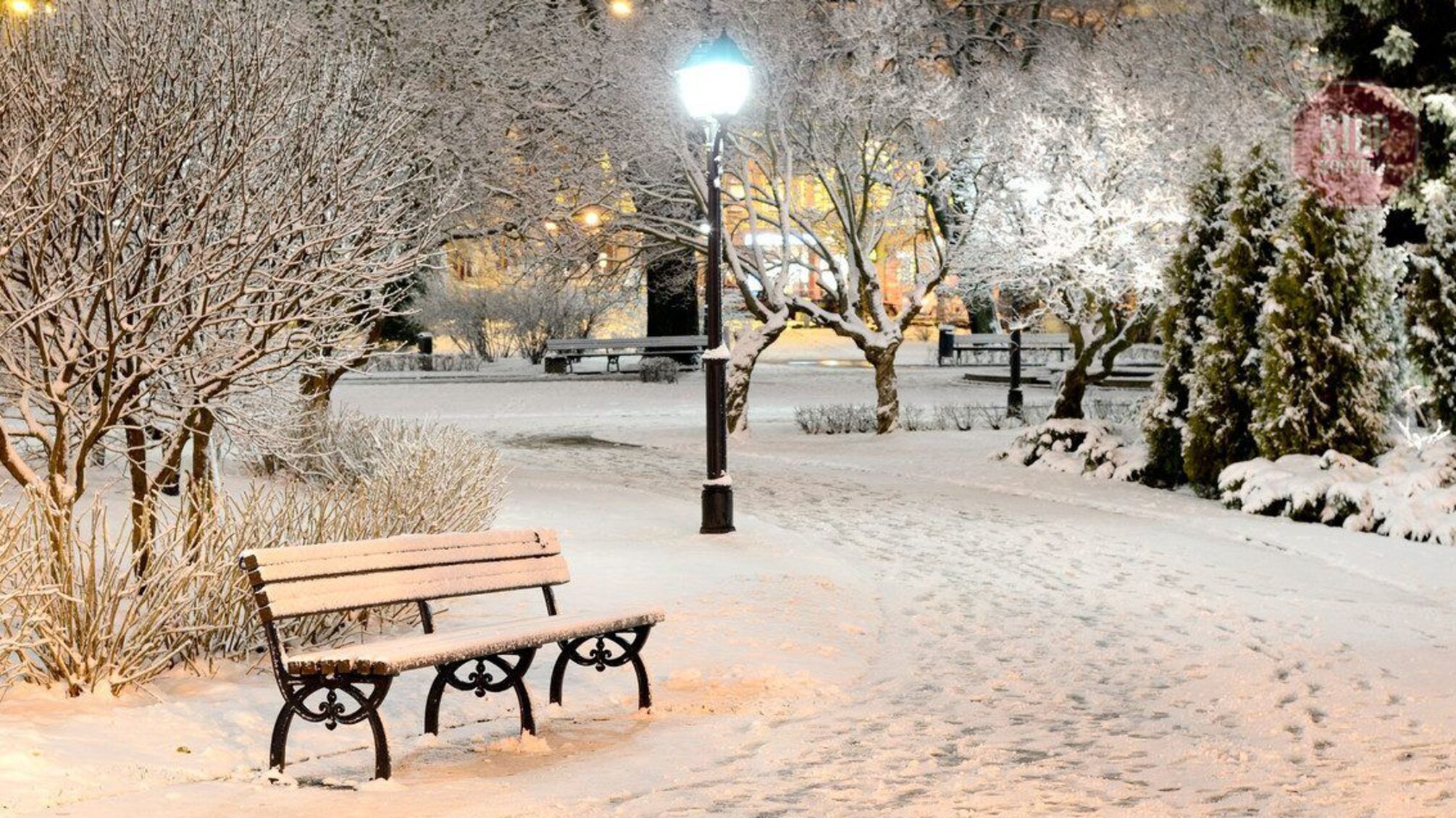 Прогноз погоди на вихідні 18–19 грудня: на українців чекає «сніжний» Миколай