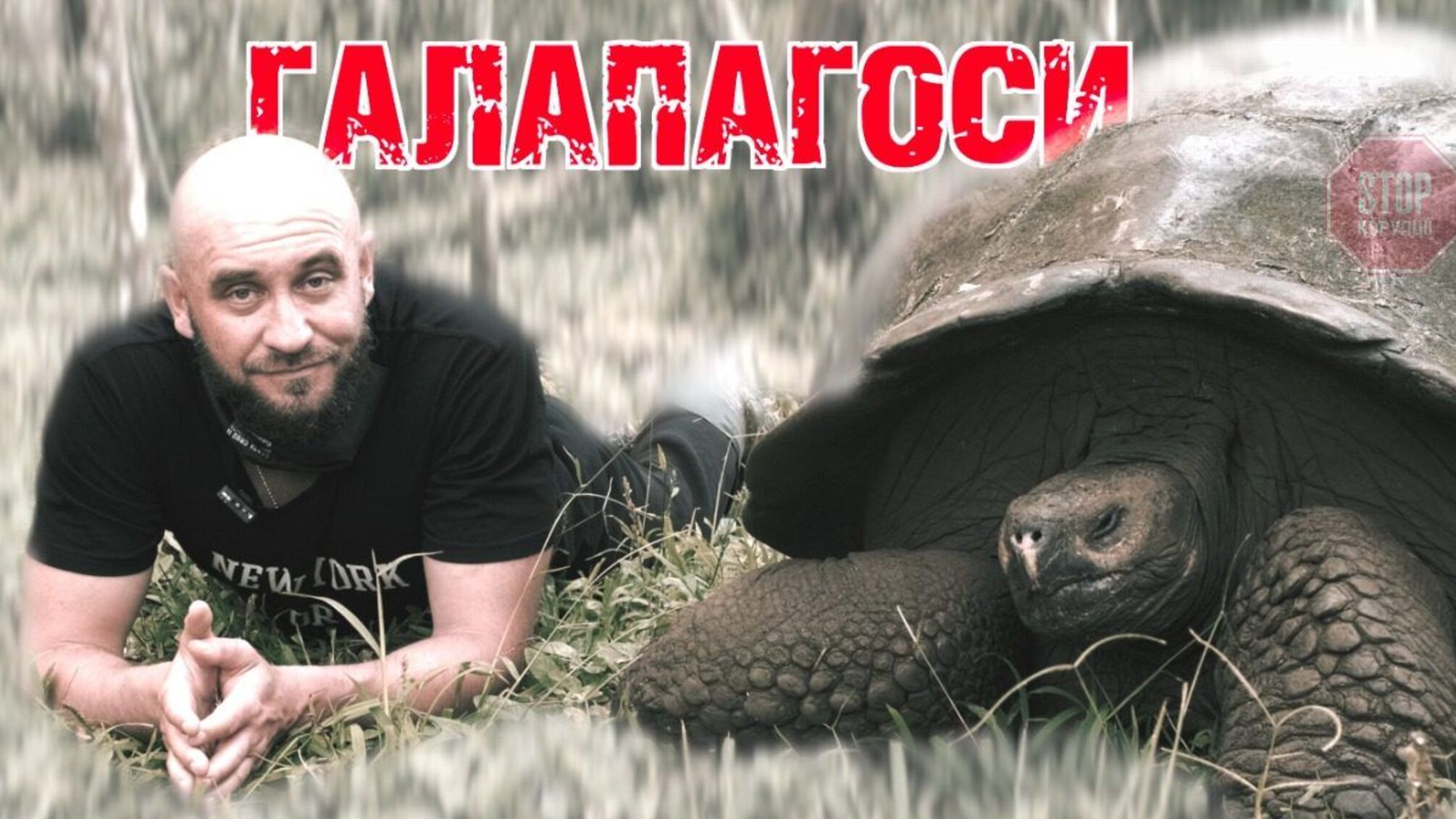 Дарвин и черепахи-динозавры: журналист Бочкала отправился на край света, чтобы показать Галапагоссы (видео)