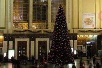 З центрального вокзалу Києва ''зникла'' новорічна ялинка за 5 млн