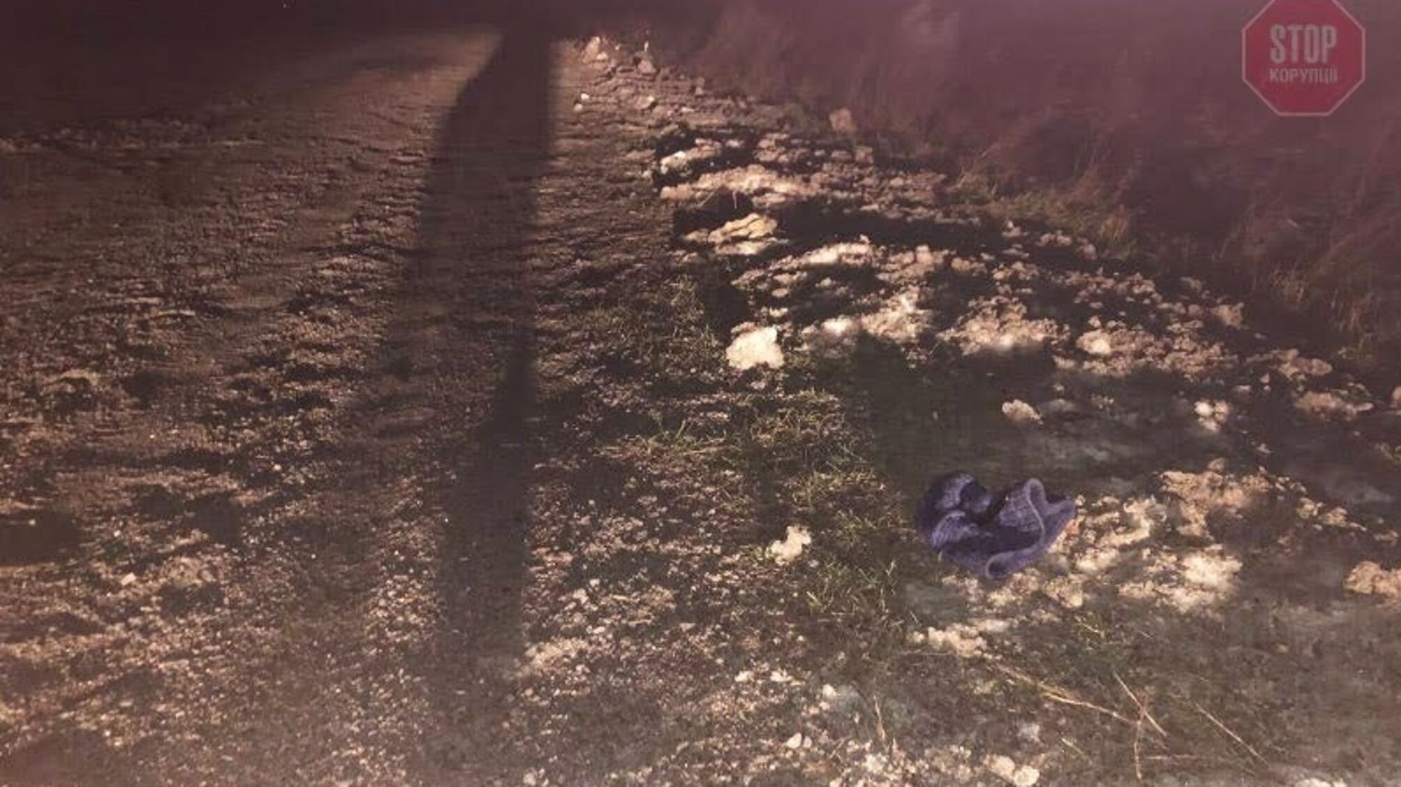 На Рівненщині автівка на смерть збила 16-річного хлопця та втекла з місця пригоди (фото)