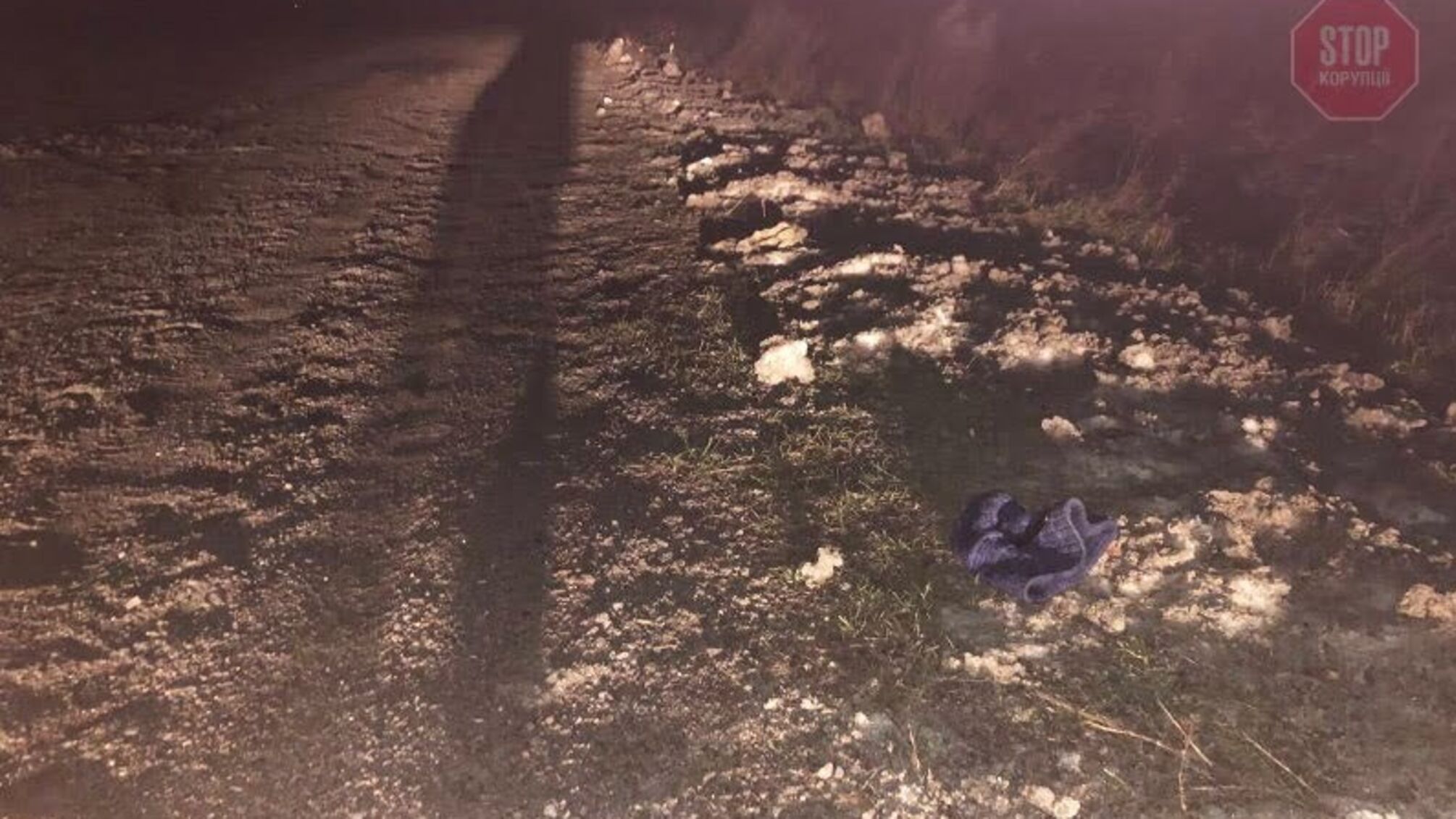 В Ровенской области автомобиль насмерть сбил 16-летнего подростка и скрылся с места ДТП (фото)