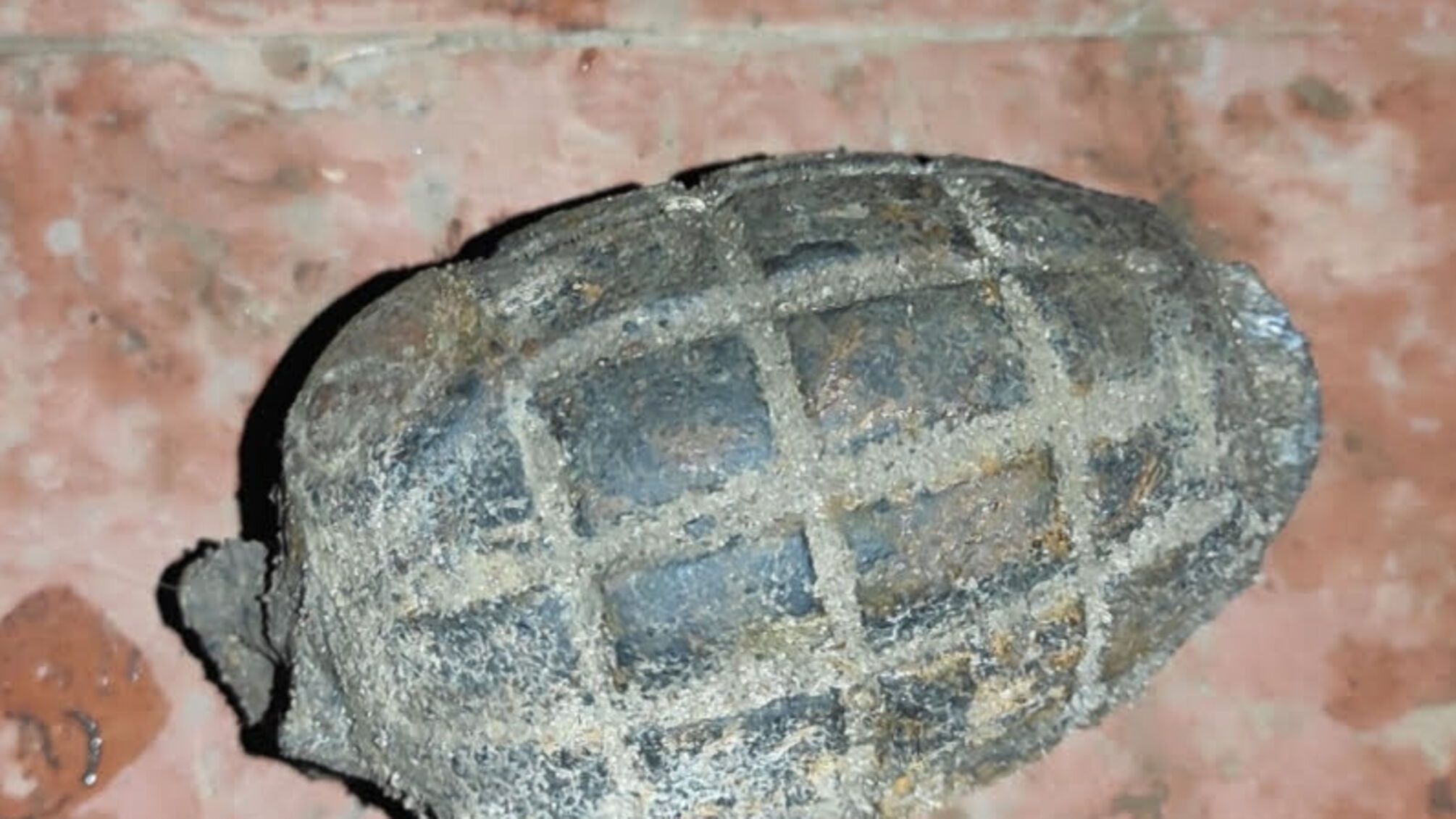 Львівська область: 4 та 5 лютого піротехніки 2 СЦШР ДСНС України вилучили та знищили 2 вибухонебезпечні предмети