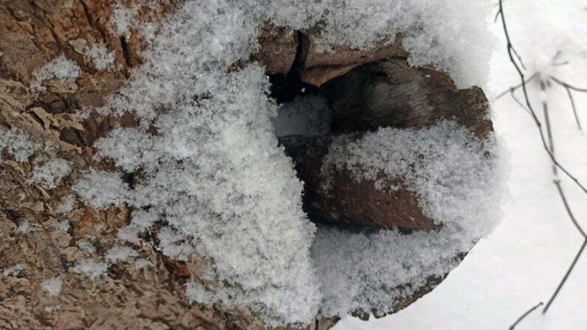 На Дніпропетровщині піротехніки ДСНС двічі залучались до робіт зі знешкодження боєприпасів