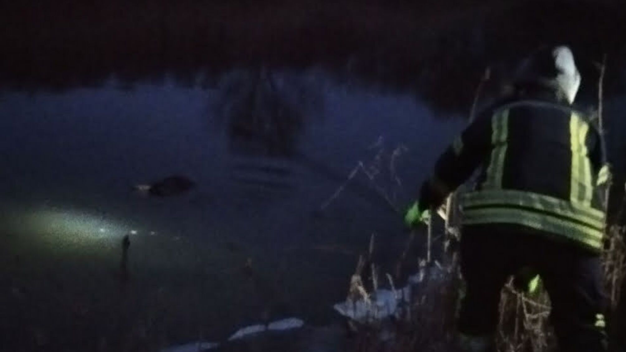 На Донеччині рятувальники вилучили з води тіло потонуло чоловіка
