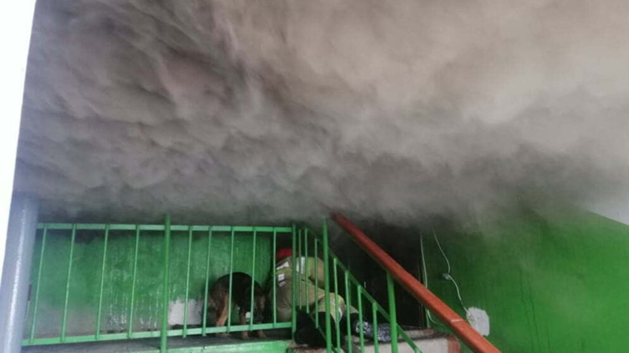 Миколаївська область: під час пожежі врятовано 6 осіб та 24 людини евакуйовано