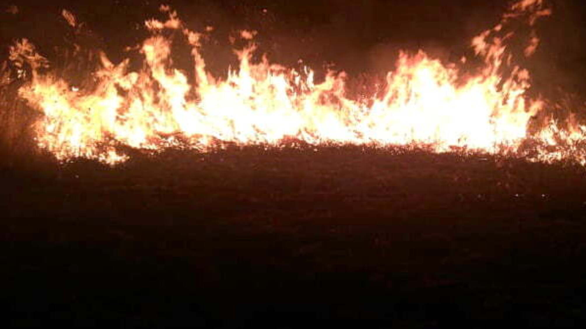 Миколаївська область: рятувальники ліквідували пожежу очерету на відкритій території