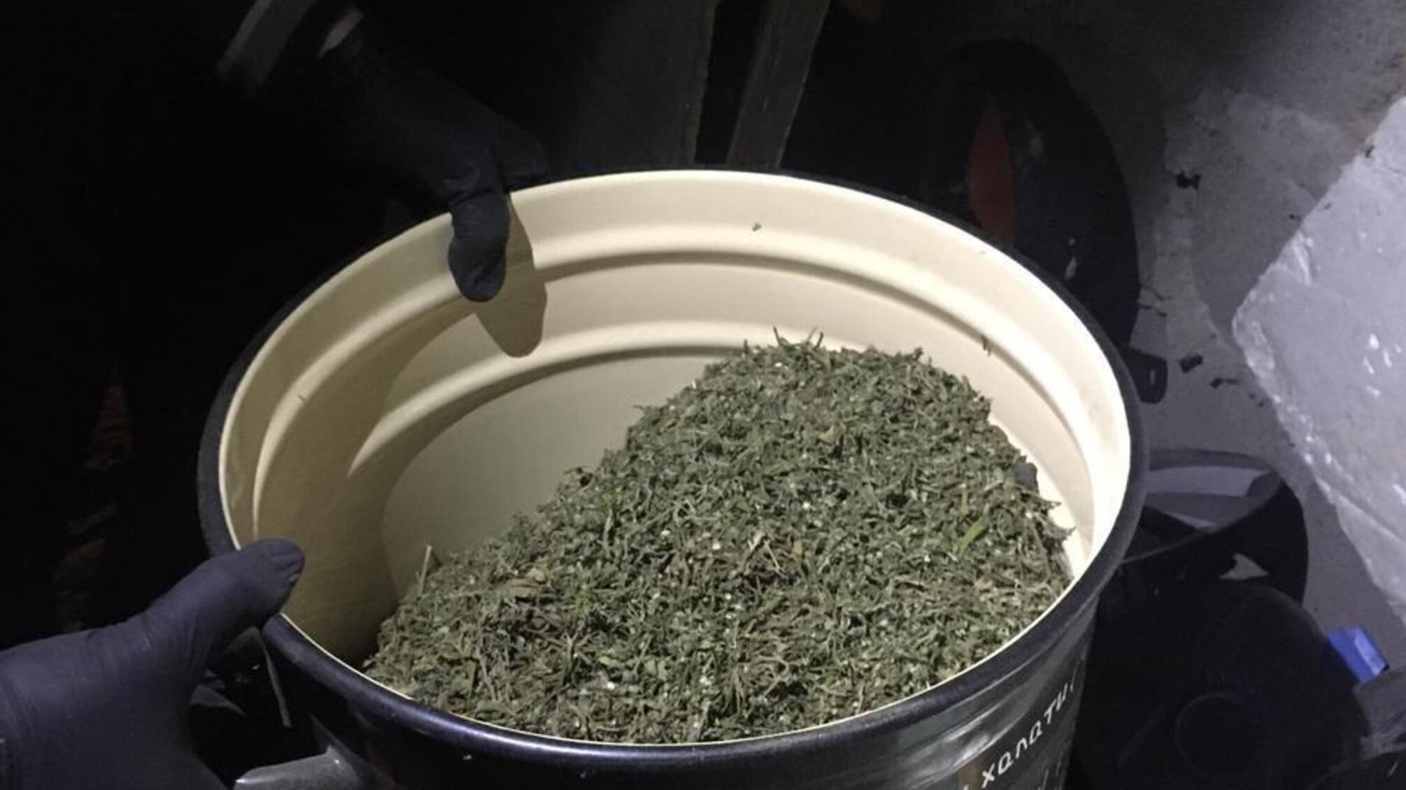 У Кривому Розі поліцейські вилучили партію наркотиків на близько мільйон гривень