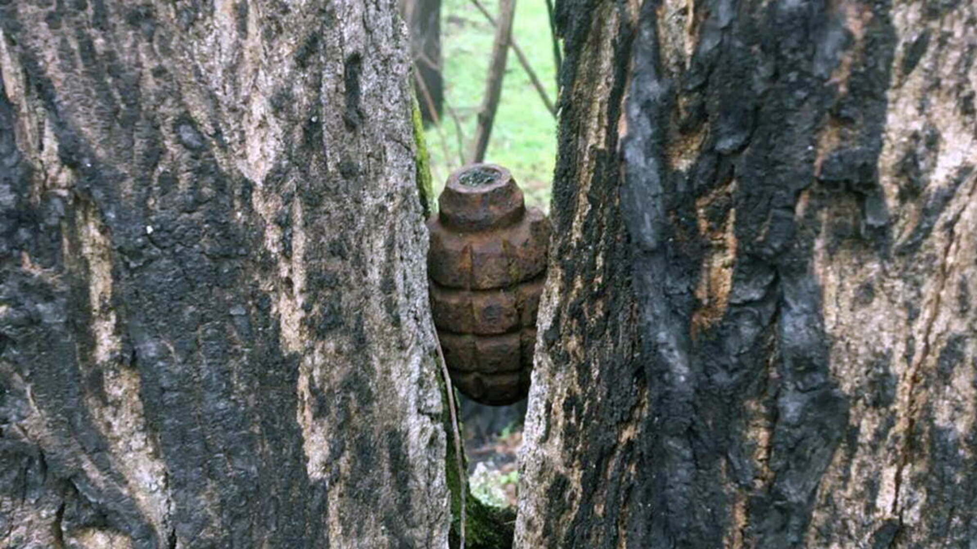 На Дніпропетровщині піротехніки ДСНС знищили застарілу ручну протипіхотну гранату Ф-1