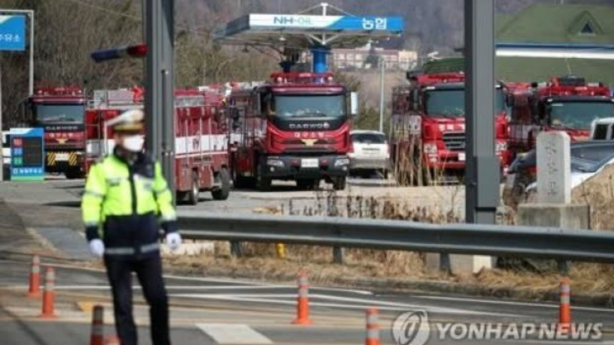 У Південній Кореї пожежі знищили 255 гектарів лісу