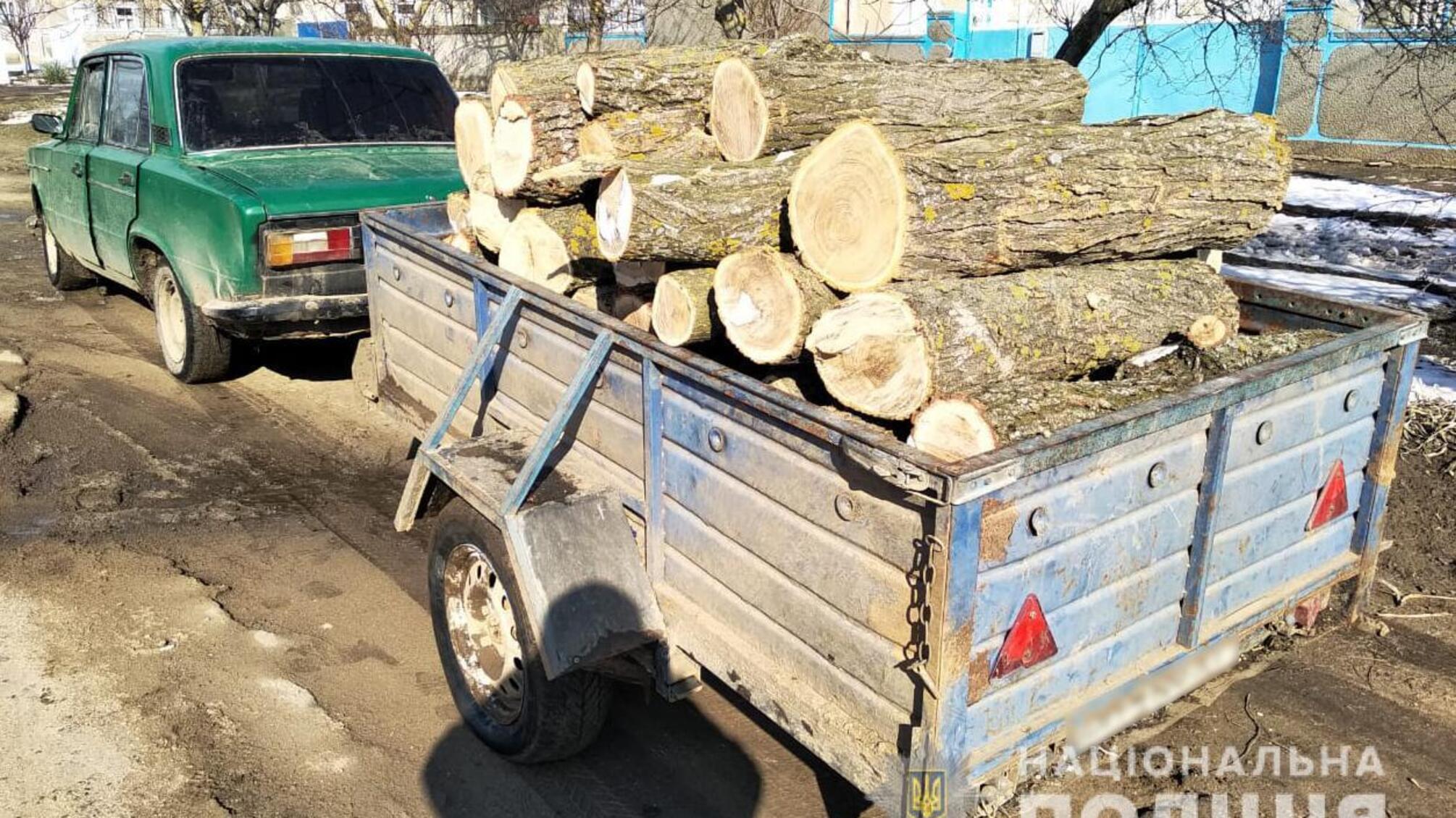 Поліцейські притягують жителів Білгород-Дністровського району до відповідальності за незаконне перевезення лісу
