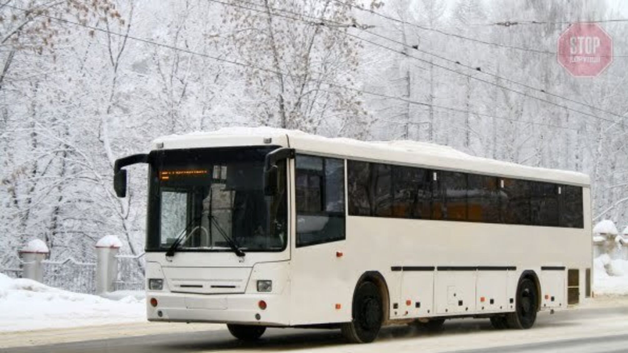 Новини Запоріжжя: Під містом вихователька дитсадка висадила 5-річну дівчинку з автобуса на морозі біля лісосмуги 