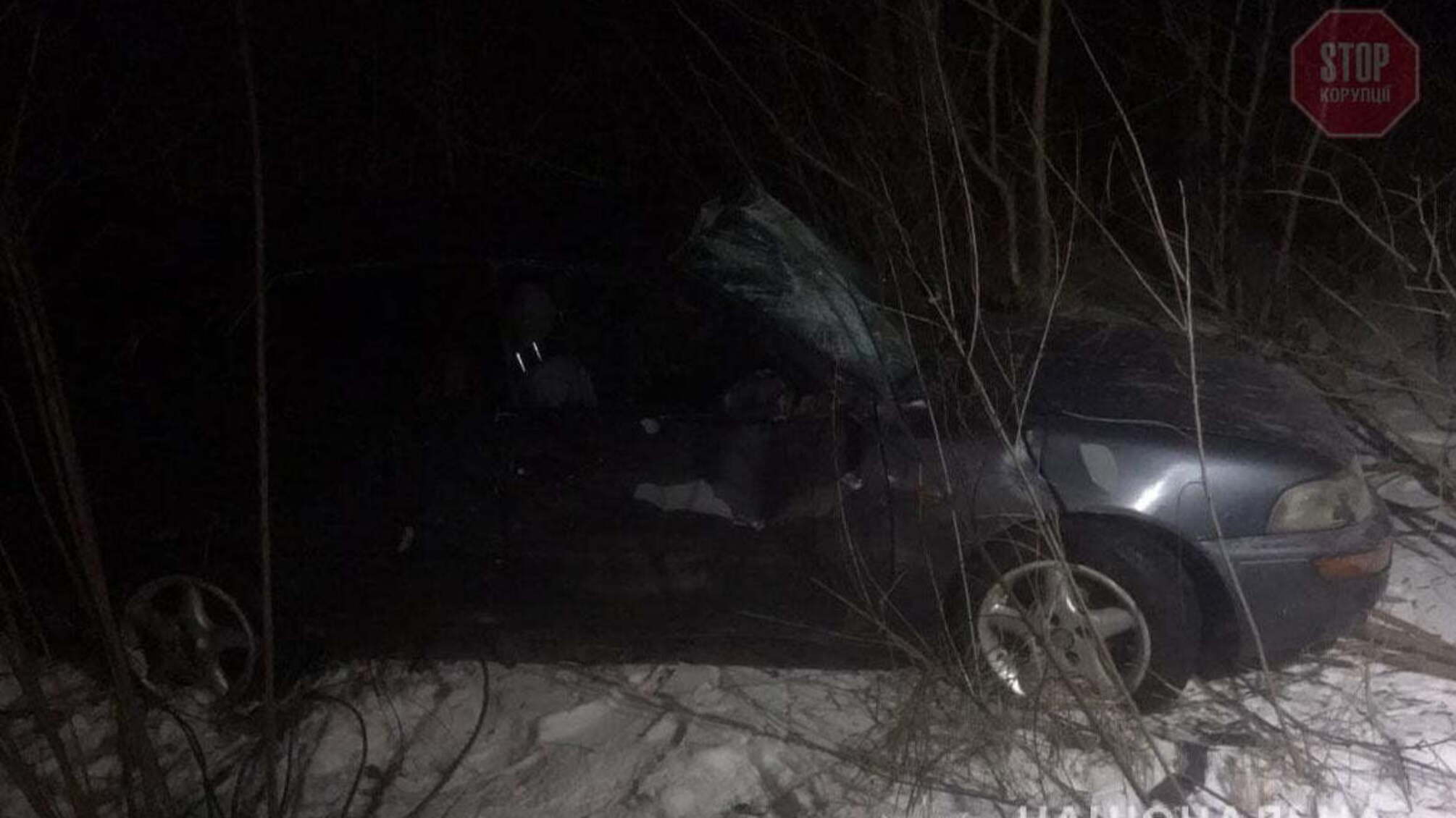 На Полтавщині легковик вилетів у кювет, є загиблі (фото)