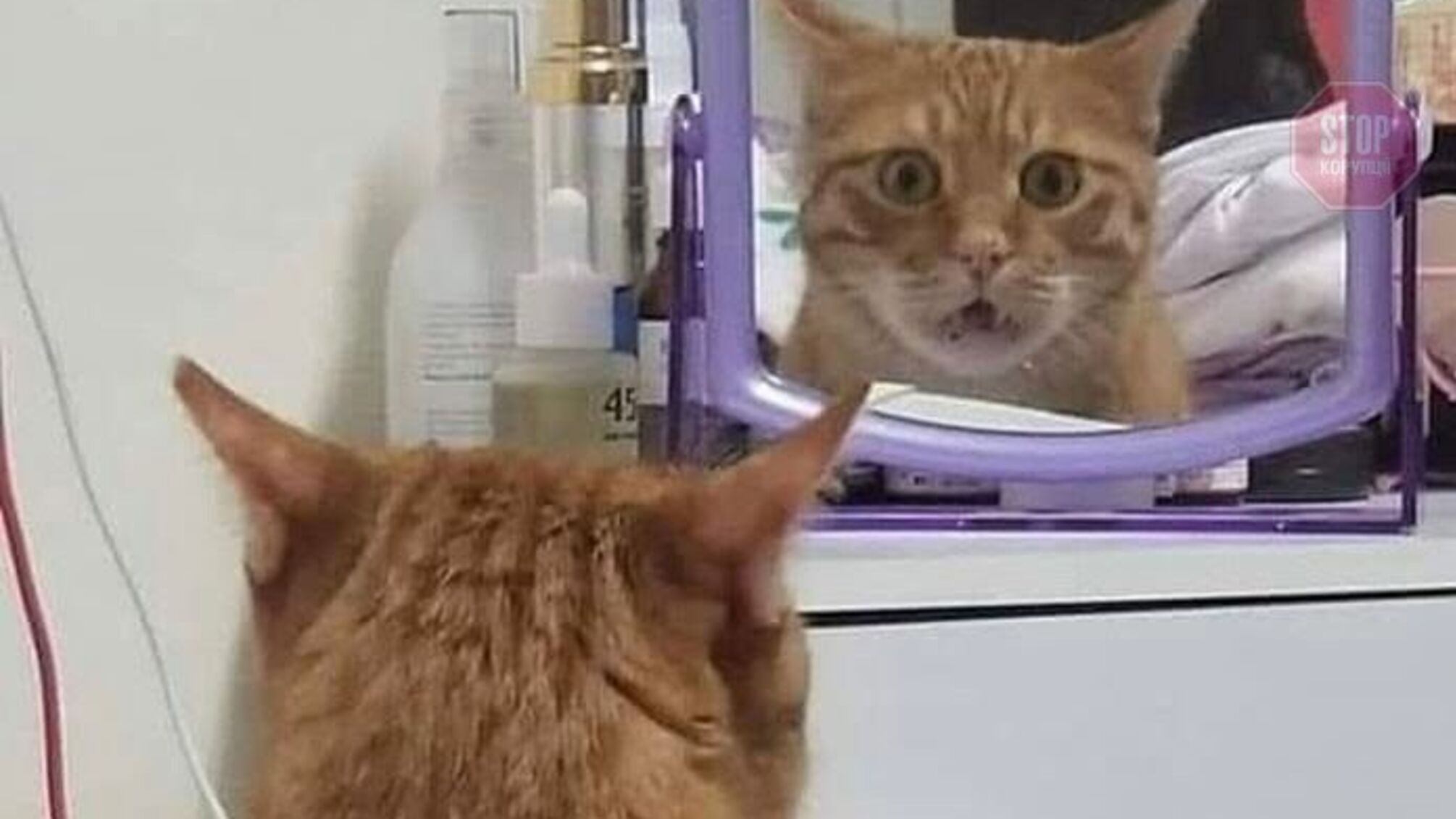 У Тернополі чоловік злякався власного відображення у дзеркалі та викликав «швидку»