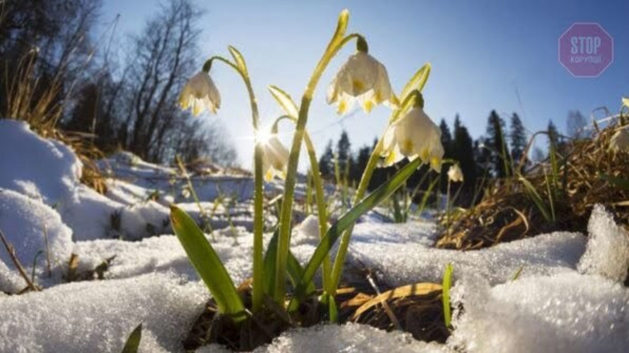 В Укргідрометцентрі розповіли про погоду на початку березня