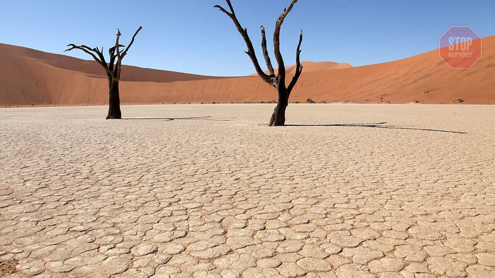 Юг Украины может превратиться в пустыню