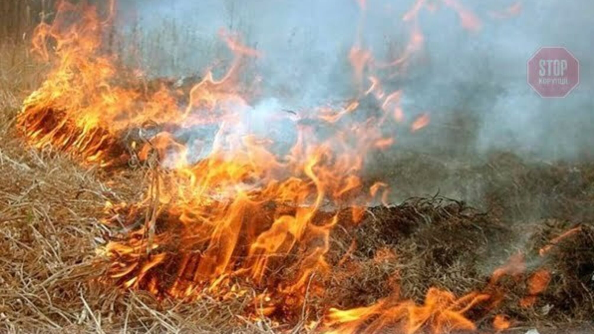 Выжигание травы в Украине будет караться еще строже