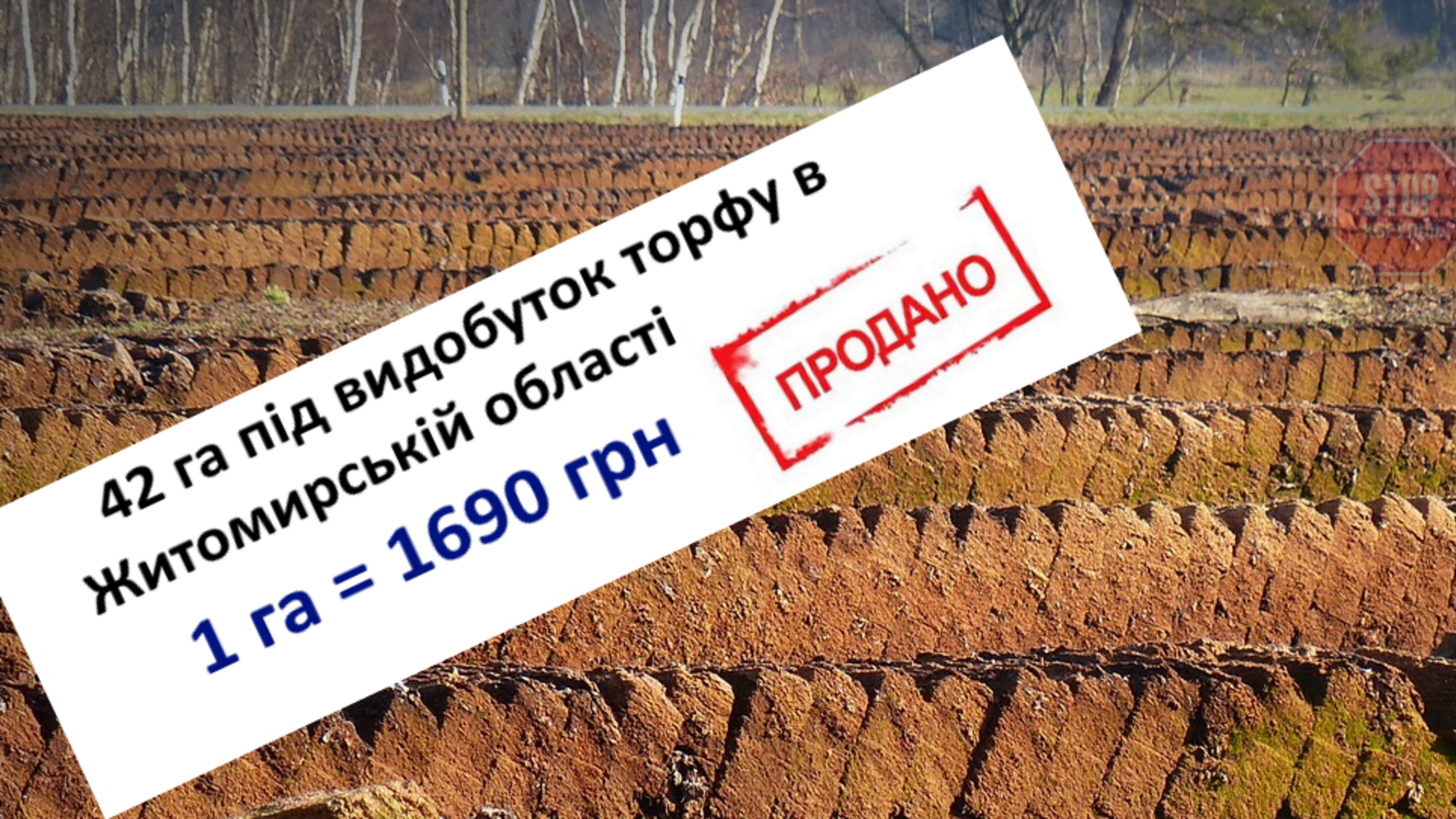 Надра – задарма: дозвіл видобувати торф на Житомирщині віддали за ціною комп'ютера