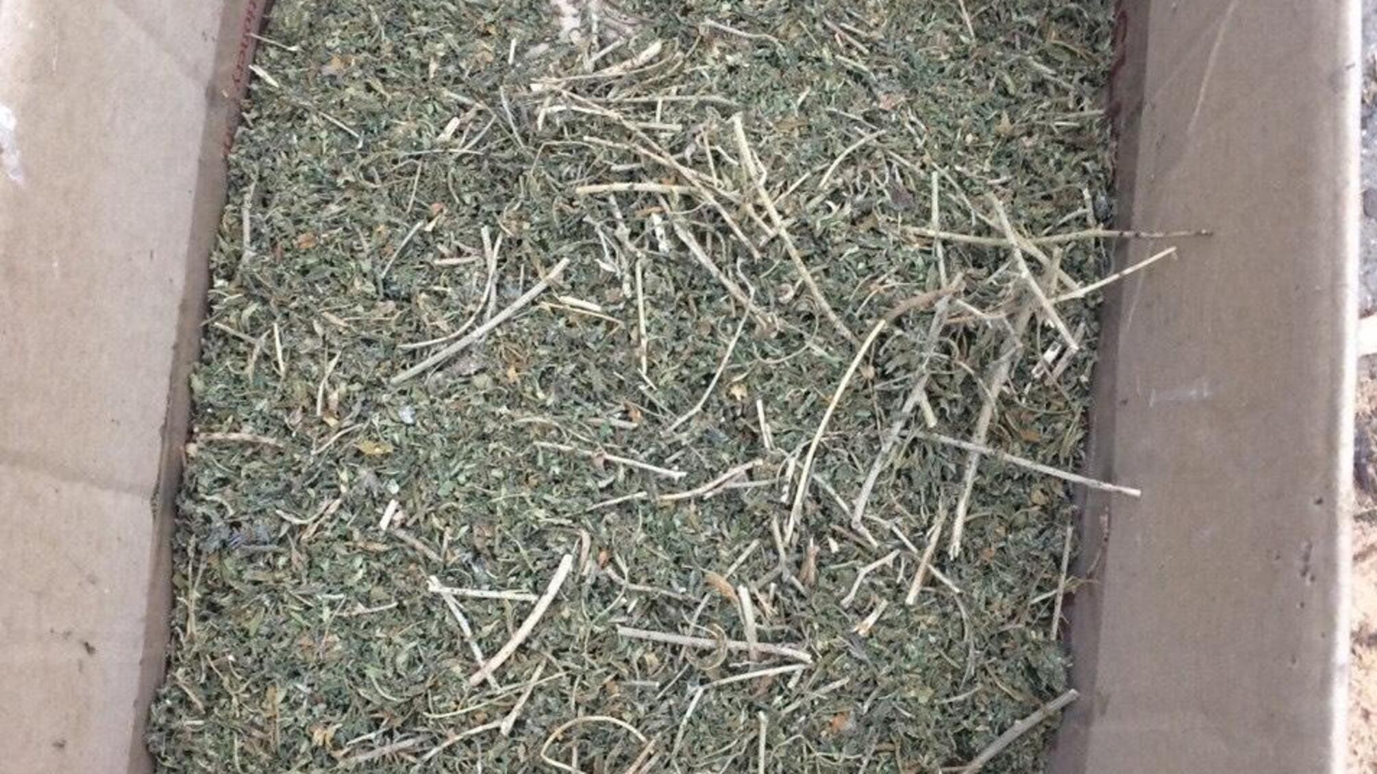 Поліцейські викрили жителів Болградського району у зберіганні наркотиків