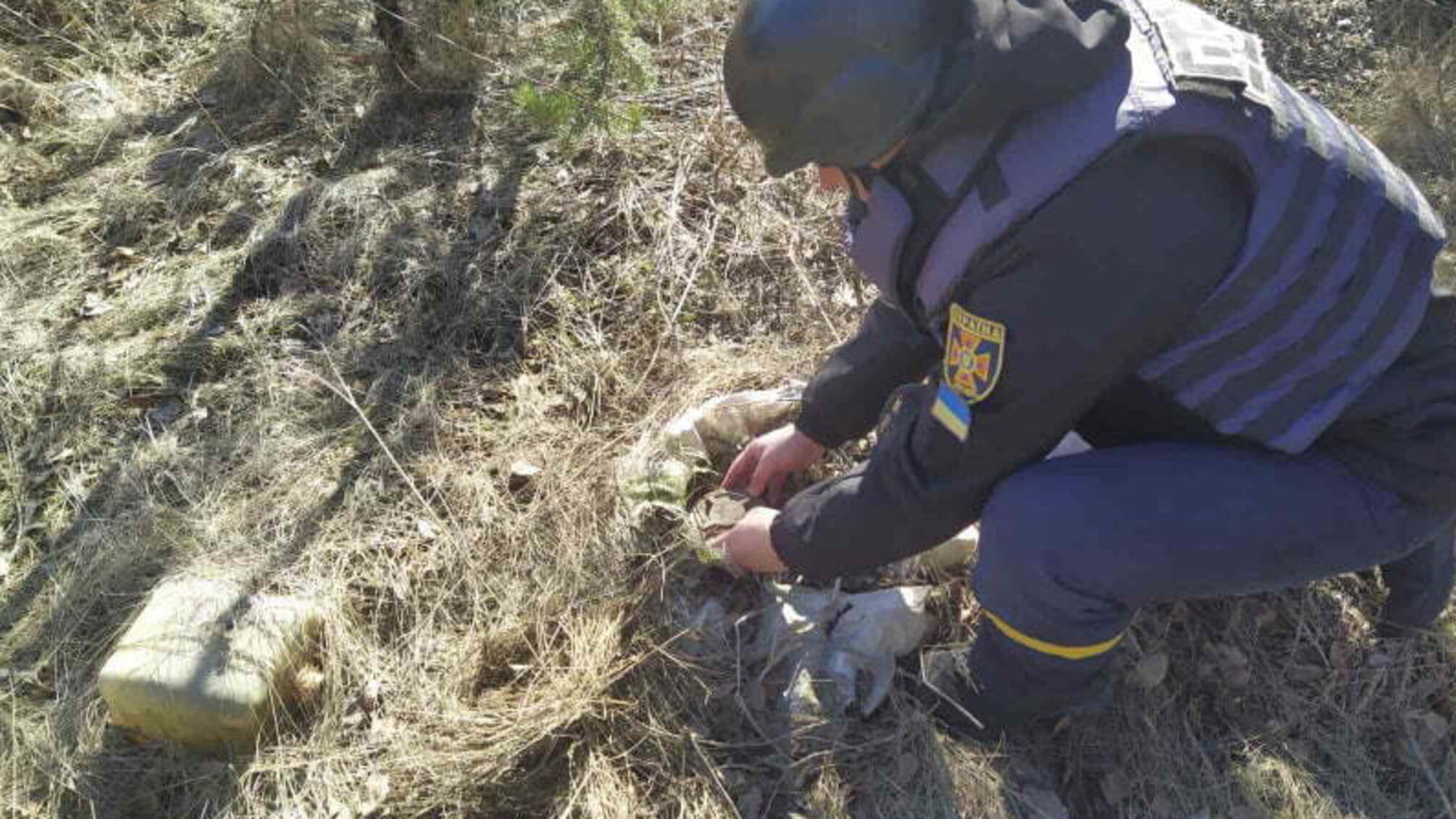 Минулої доби на Луганщині піротехніки ДСНС виявили та вилучили 55 вибухонебезпечних предметів