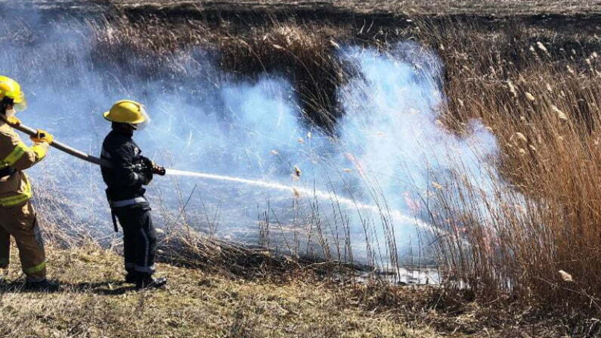 Рятувальники Херсонщини за добу ліквідували 10 пожеж в екосистемах
