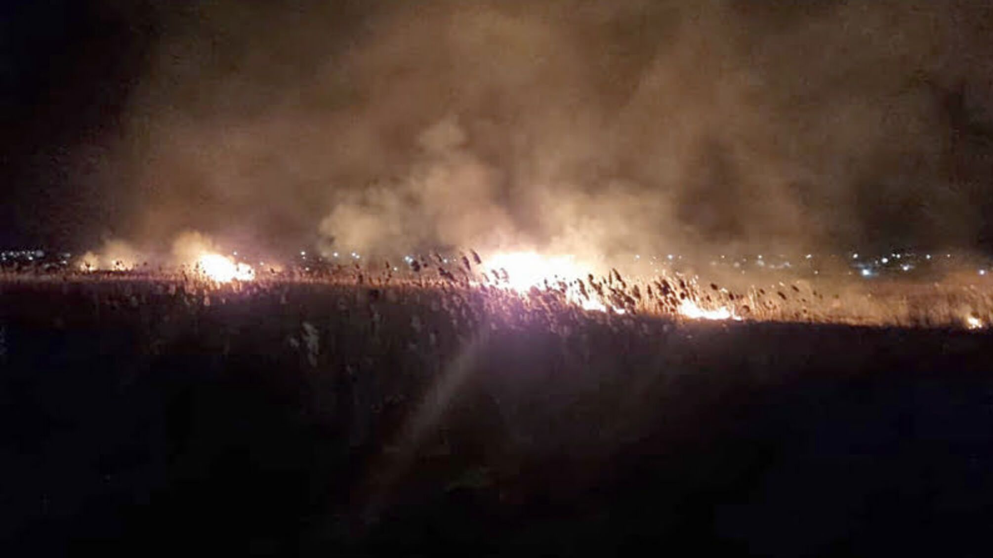 Миколаївська область: за чергову добу вогнеборці ліквідували понад 1,5 га пожеж на відкритих територіях.