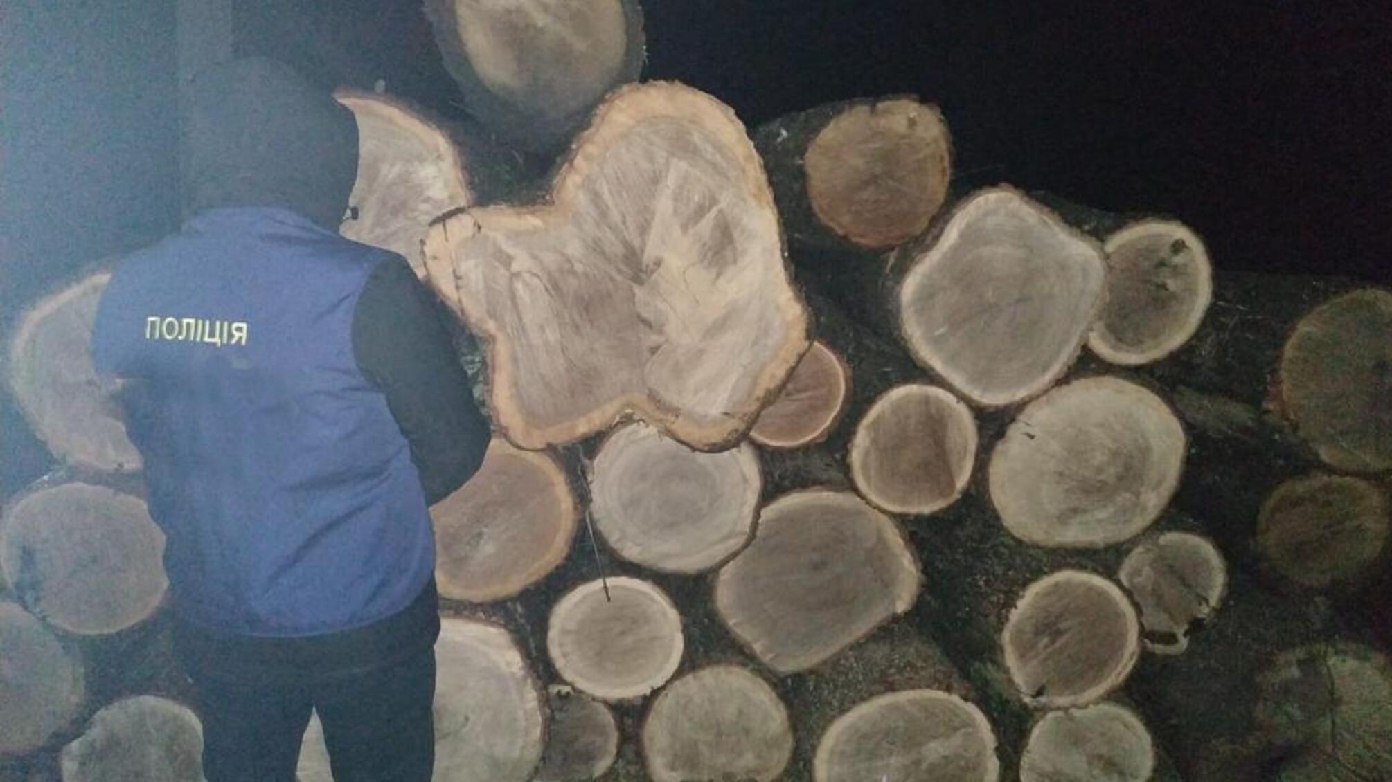 На Житомирщині поліцейські викрили групу осіб на незаконній порубці лісу