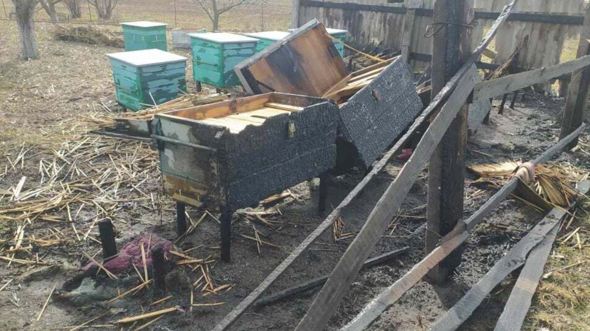 Миколаївська область: вогнеборці ліквідували пожежу вуликів