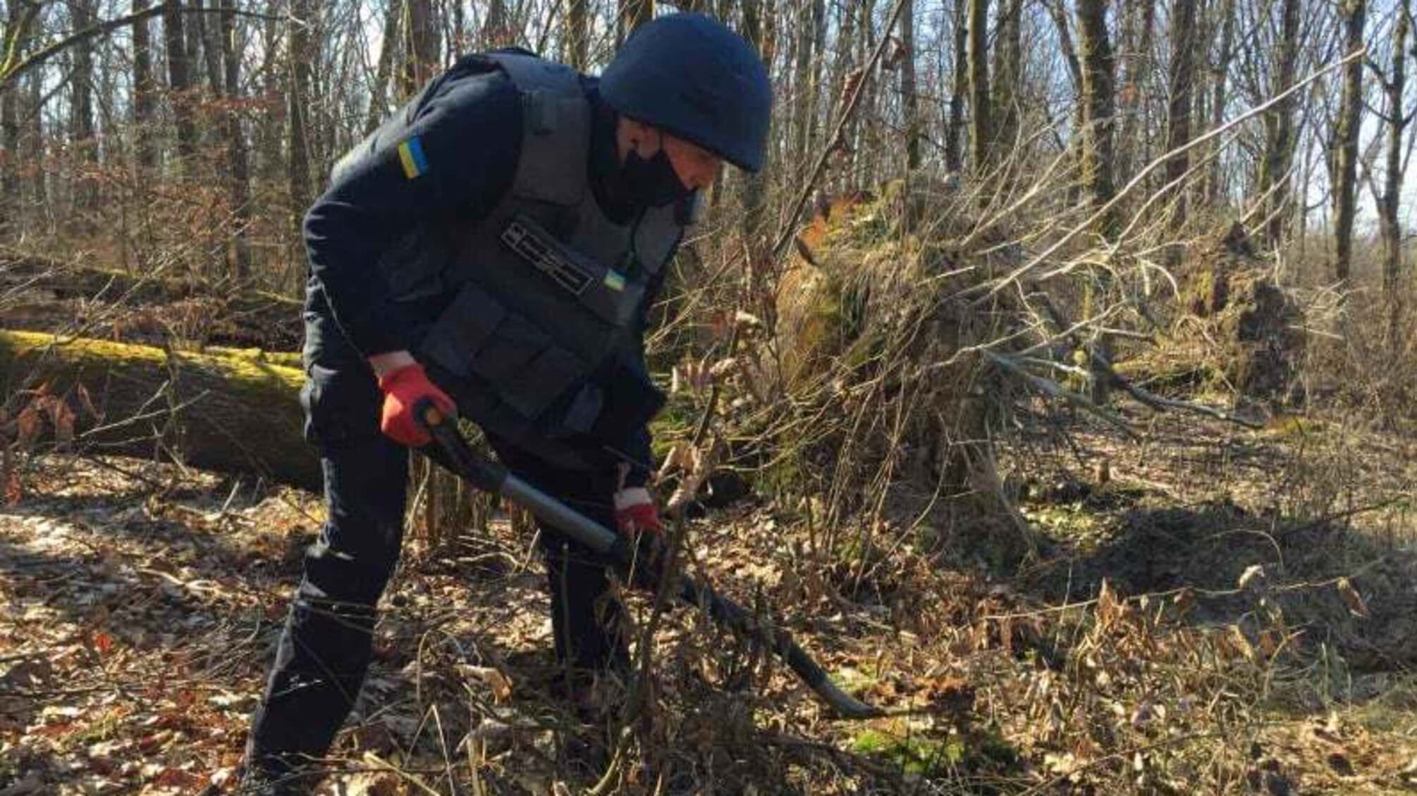 Закарпатські піротехніки знищили протипіхотну міну часів Другої світової війни