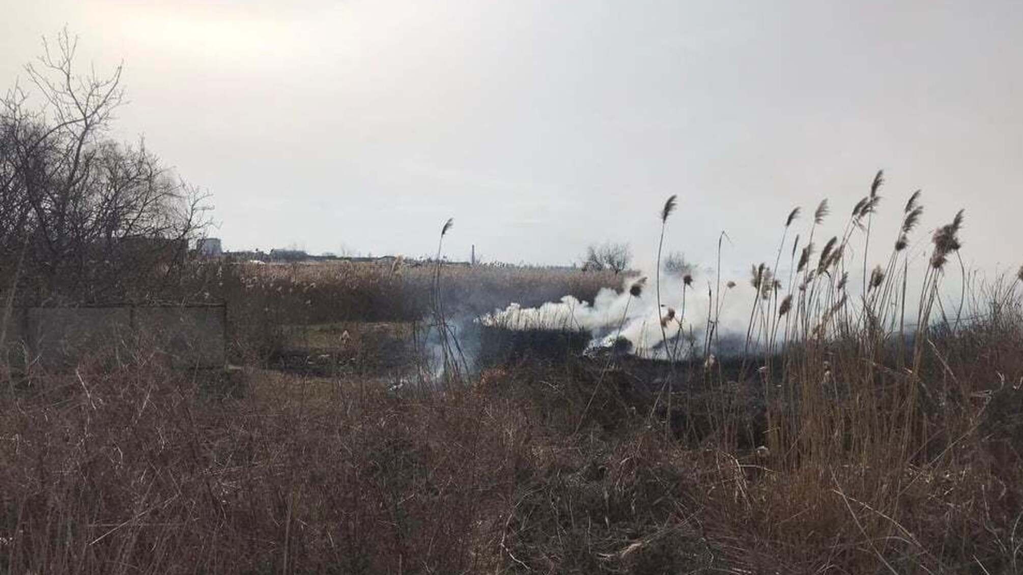 Протягом доби рятувальники Миколаївщини 7 разів гасили пожежі на відкритих територіях