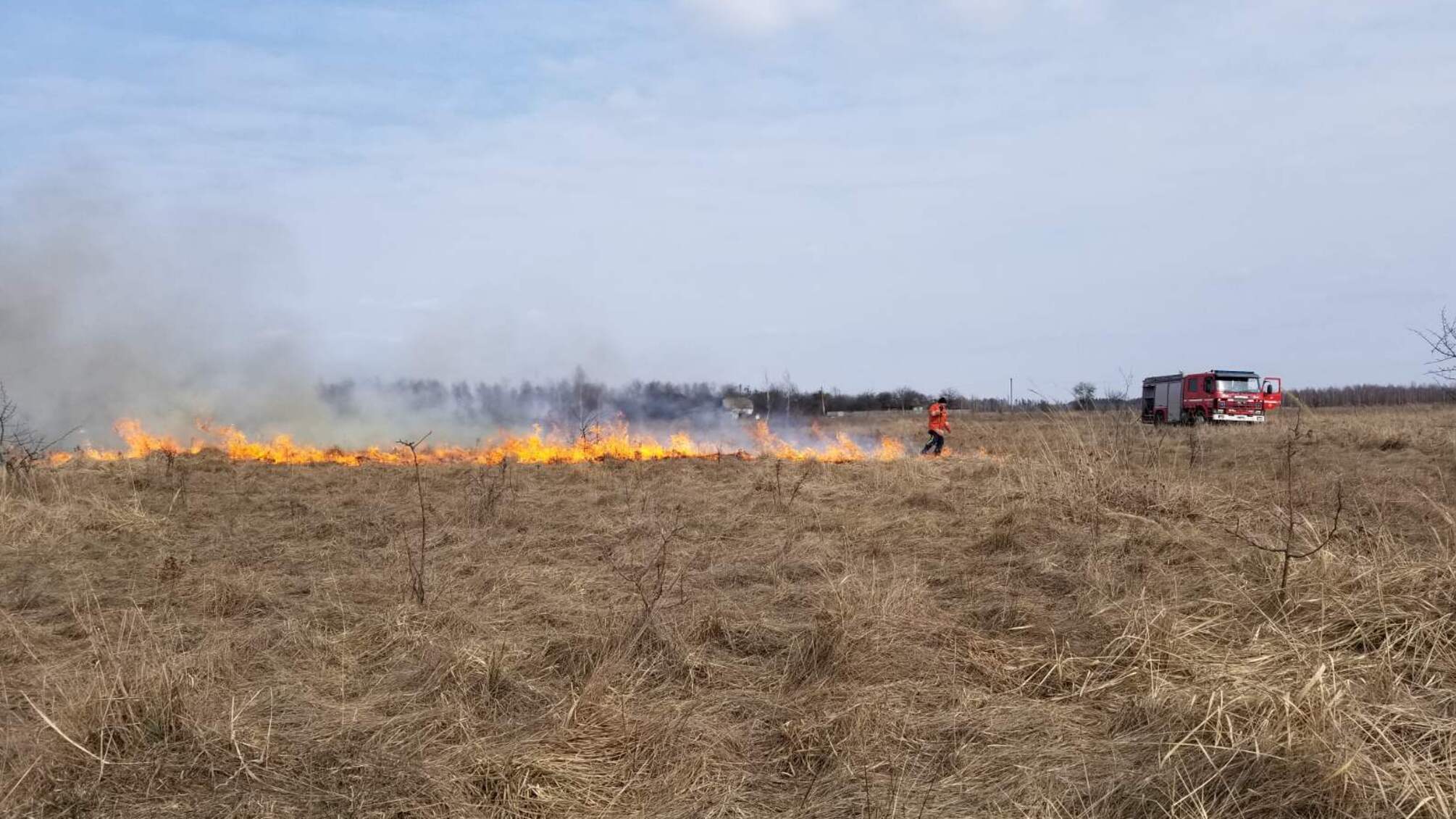 Житомирська область: знову горить сухостій!