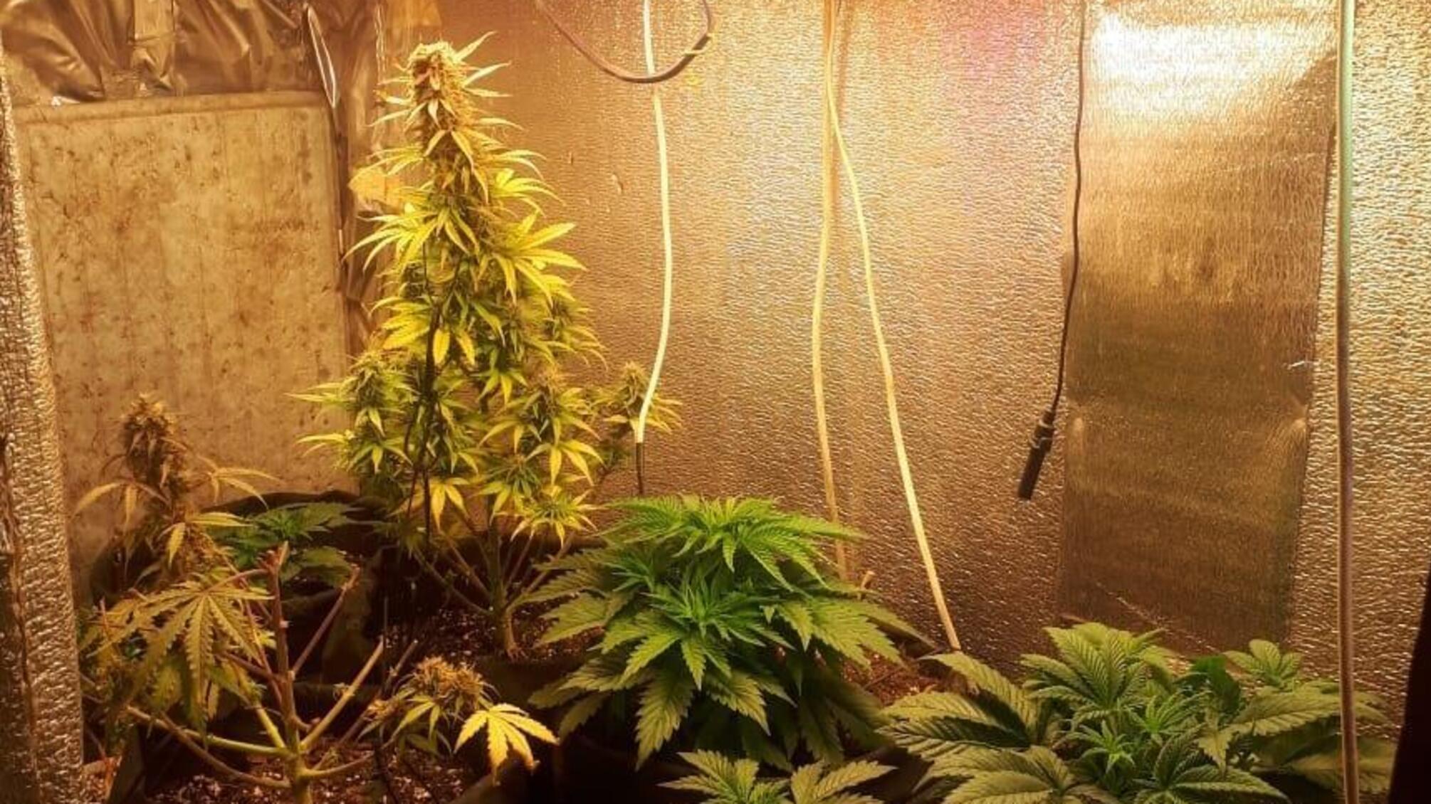 Поліція Харкова припинила діяльність групи осіб, які виготовляли і розповсюджували наркотики