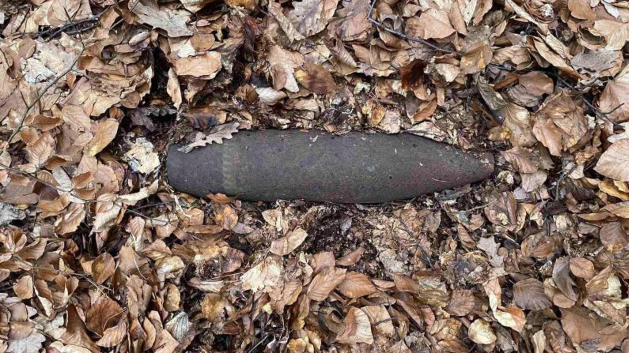 Львівська область: за добу, що минула піротехніки ДСНС вилучили та знищили 2 вибухонебезпечних предмети часів ІІ Світової війни