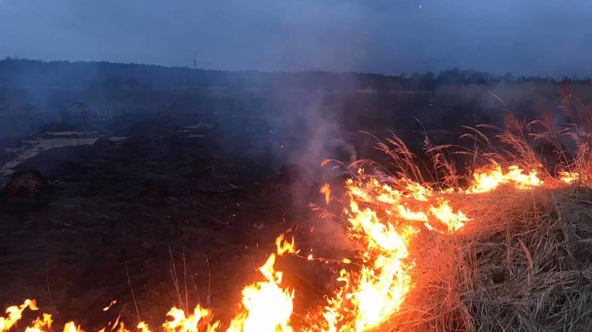 Львівська область: надзвичайники ліквідували 2 пожежі сухої трави